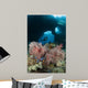 Diver Approaches Gorgonian Sea Wall Decal
