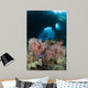 Diver Approaches Gorgonian Sea Wall Decal