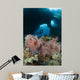 Diver Approaches Gorgonian Sea Wall Decal