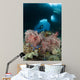Diver Approaches Gorgonian Sea Wall Decal