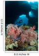 Diver Approaches Gorgonian Sea Wall Decal