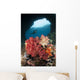 Diver Approaches Soft Corals Wall Decal
