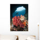 Diver Approaches Soft Corals Wall Decal