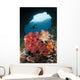 Diver Approaches Soft Corals Wall Decal