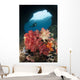 Diver Approaches Soft Corals Wall Decal