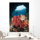 Diver Approaches Soft Corals Wall Decal