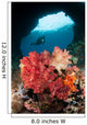 Diver Approaches Soft Corals Wall Decal