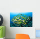 Schooling Brownstripe Snapper Raja Wall Decal Design 1