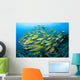 Schooling Brownstripe Snapper Raja Wall Decal Design 1