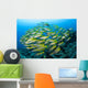 Schooling Brownstripe Snapper Raja Wall Decal Design 1