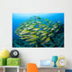 Schooling Brownstripe Snapper Raja Wall Decal Design 1
