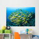 Schooling Brownstripe Snapper Raja Wall Decal Design 1