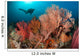 Gorgonian Sea Fans Reef Wall Decal Design 2