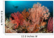 Gorgonian Sea Fans Reef Wall Decal Design 1