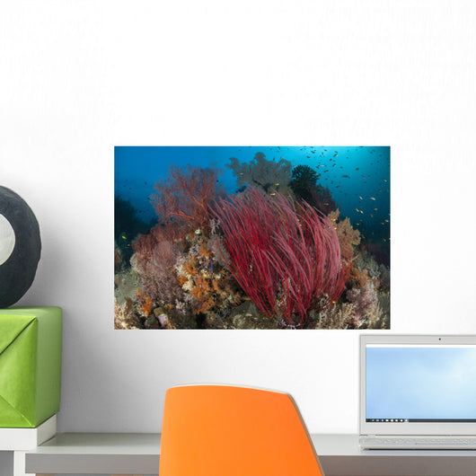 Reefscape with Grand Sea Wall Decal