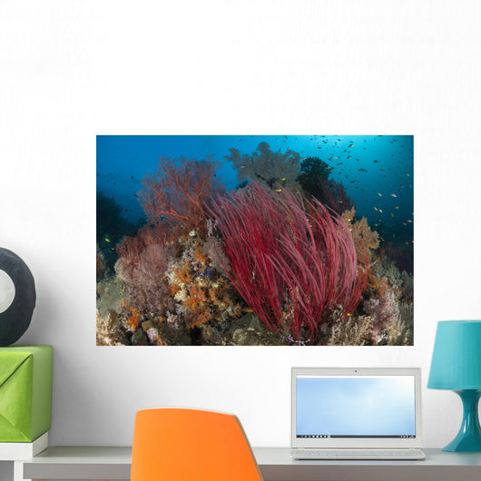 Reefscape with Grand Sea Wall Decal