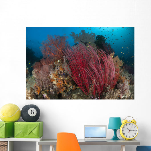 Reefscape with Grand Sea Wall Decal