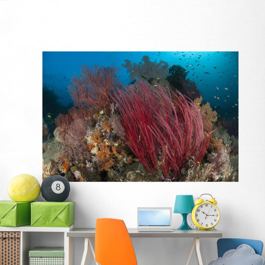Reefscape with Grand Sea Wall Decal