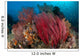 Reefscape with Grand Sea Wall Decal