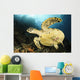 Close-up Underside Hawksbill Sea Wall Decal