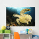 Close-up Underside Hawksbill Sea Wall Decal