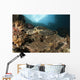 Close-up Hawksbill Sea Turtle Wall Decal