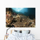 Close-up Hawksbill Sea Turtle Wall Decal