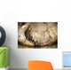 Snorkeler Explores Spectacular Tomolol Wall Decal Design 3