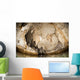 Snorkeler Explores Spectacular Tomolol Wall Decal Design 3