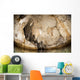 Snorkeler Explores Spectacular Tomolol Wall Decal Design 3