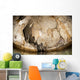 Snorkeler Explores Spectacular Tomolol Wall Decal Design 3