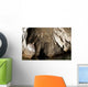 Snorkeler Explores Spectacular Tomolol Wall Decal Design 2