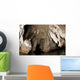 Snorkeler Explores Spectacular Tomolol Wall Decal Design 2