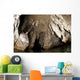 Snorkeler Explores Spectacular Tomolol Wall Decal Design 2