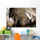 Snorkeler Explores Spectacular Tomolol Wall Decal Design 2