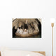 Snorkeler Explores Spectacular Tomolol Wall Decal Design 1