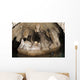Snorkeler Explores Spectacular Tomolol Wall Decal Design 1