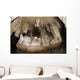 Snorkeler Explores Spectacular Tomolol Wall Decal Design 1
