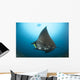 Reef Manta Ray with Wall Decal Design 3
