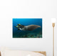 Reef Manta Ray with Wall Decal Design 2