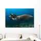 Reef Manta Ray with Wall Decal Design 2