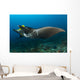 Reef Manta Ray with Wall Decal Design 2