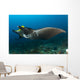 Reef Manta Ray with Wall Decal Design 2