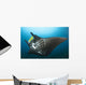 Reef Manta Ray with Wall Decal Design 1