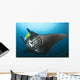 Reef Manta Ray with Wall Decal Design 1