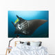 Reef Manta Ray with Wall Decal Design 1