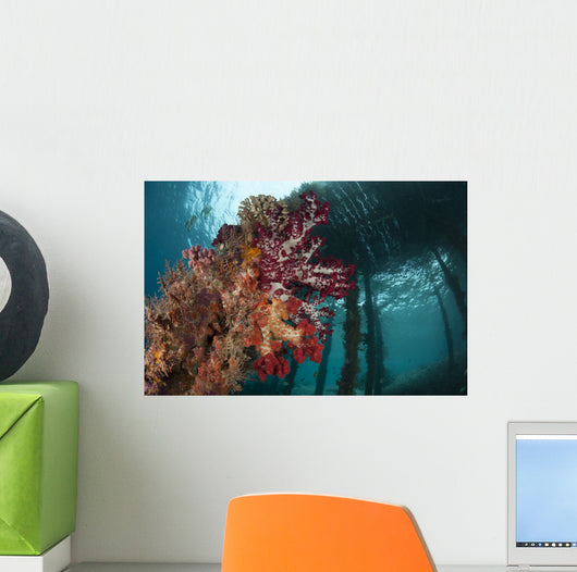 Soft Corals Adorn Legs Wall Decal Design 3