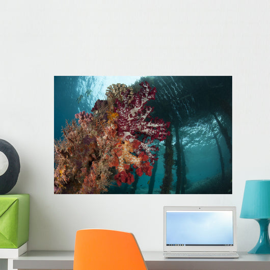 Soft Corals Adorn Legs Wall Decal Design 3