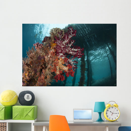 Soft Corals Adorn Legs Wall Decal Design 3
