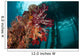 Soft Corals Adorn Legs Wall Decal Design 3